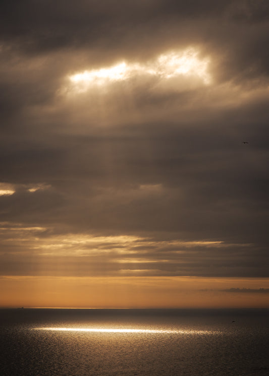 The "Nature & Serenity"