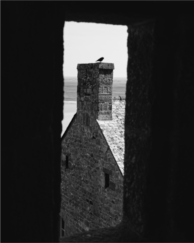 Raven on Rooftop - Medieval Monochrome - Othervariant prints