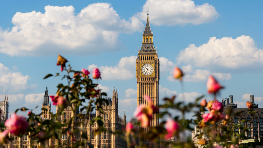 Big Ben with Roses - Vibrant London - Othervariant prints