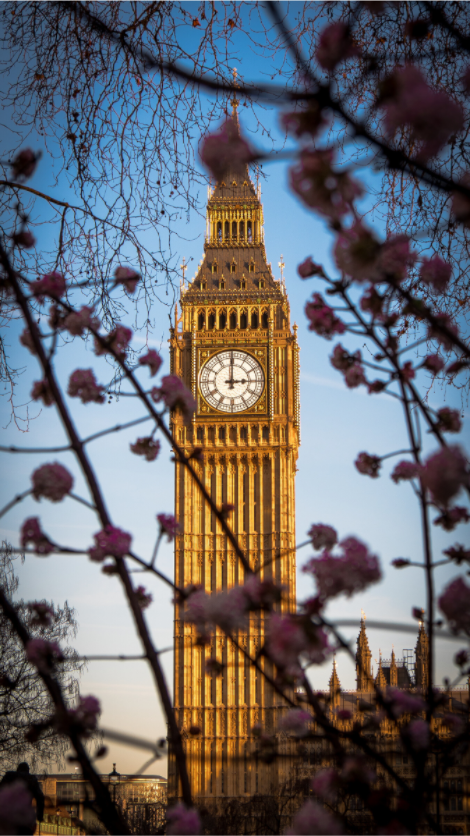 Big Ben’s Blossoming Elegance - Spring London - Othervariant prints
